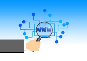 Google search around the social media trend
