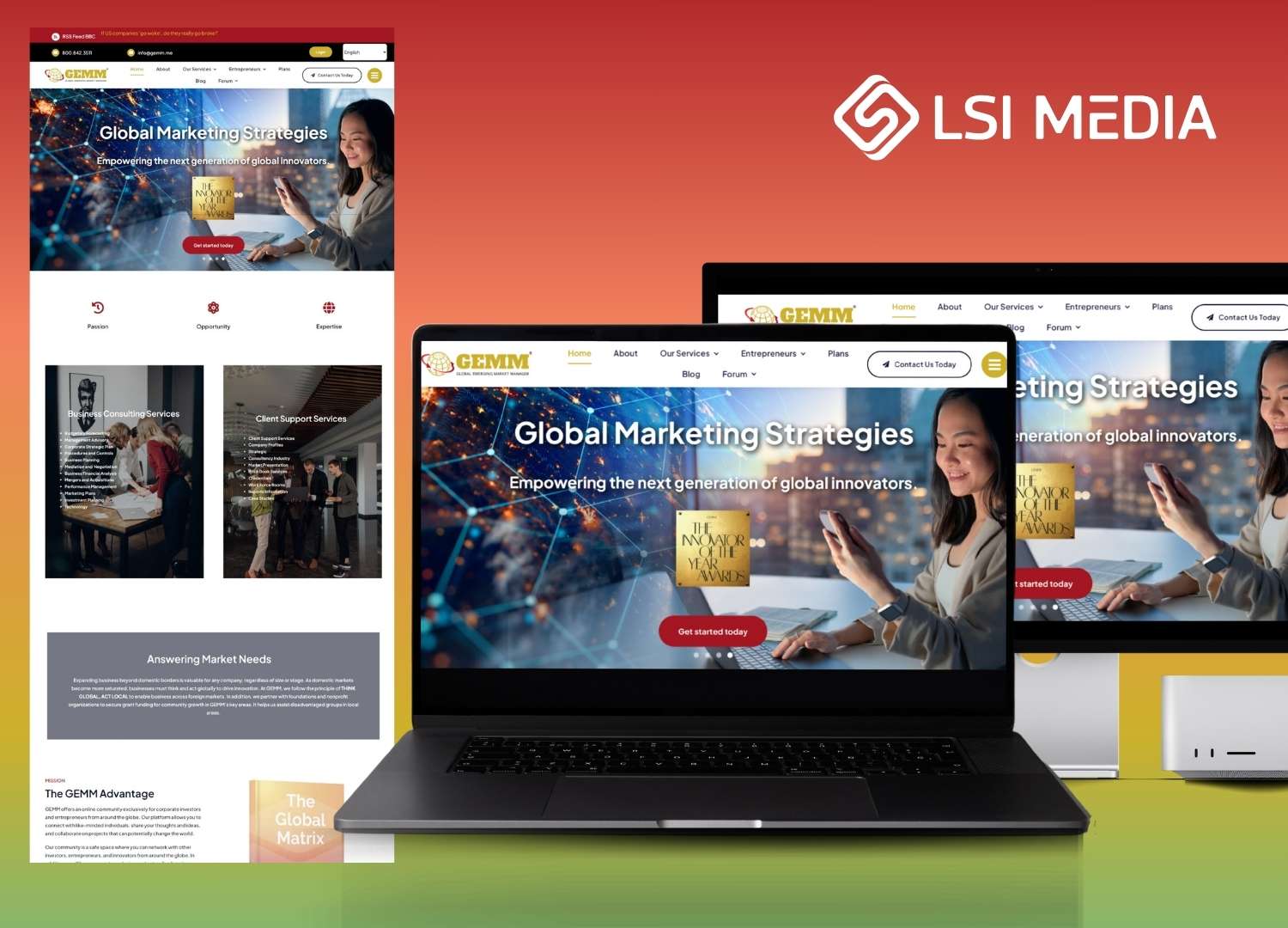 GEMM Website 4